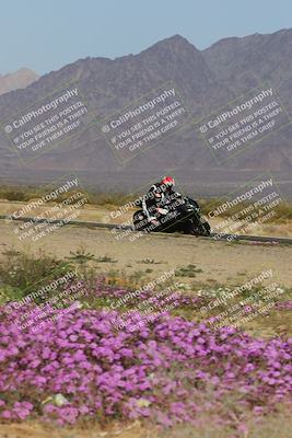 media/Feb-04-2023-SoCal Trackdays (Sat) [[8a776bf2c3]]/Turn 15 Inside Blooming (1050am)/